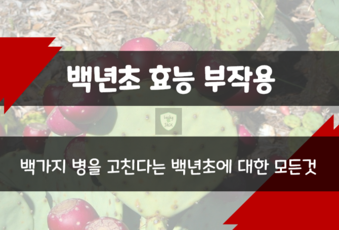  백년초 효능 부작용