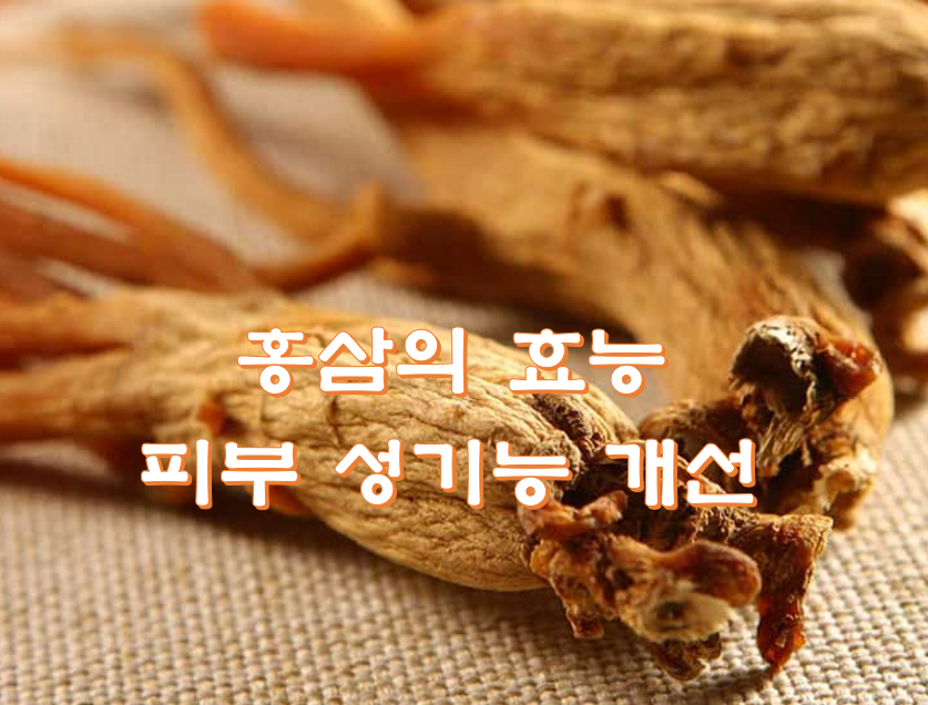  홍삼의 효능 피부 성기능 개선