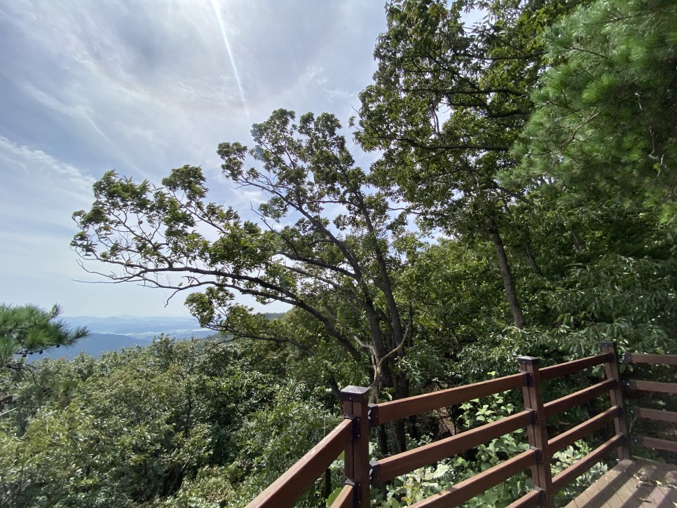 홍길동이 다녀간 39