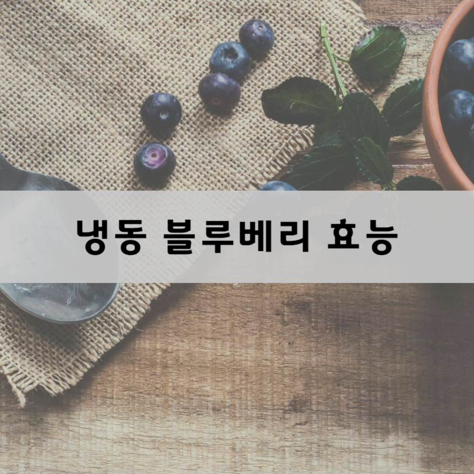 냉동-블루베리-효능