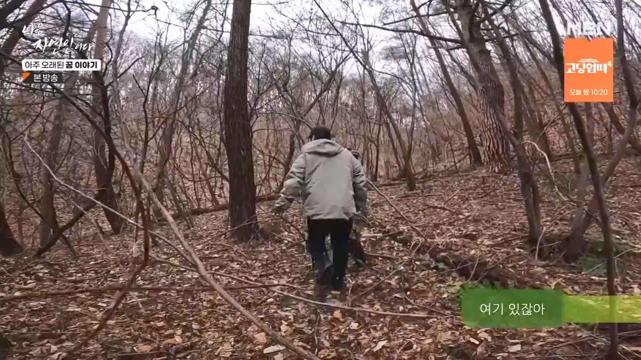 나는 자연인이다.E594.240222p-NEXT.mp4_20240222_195334.126.jpg