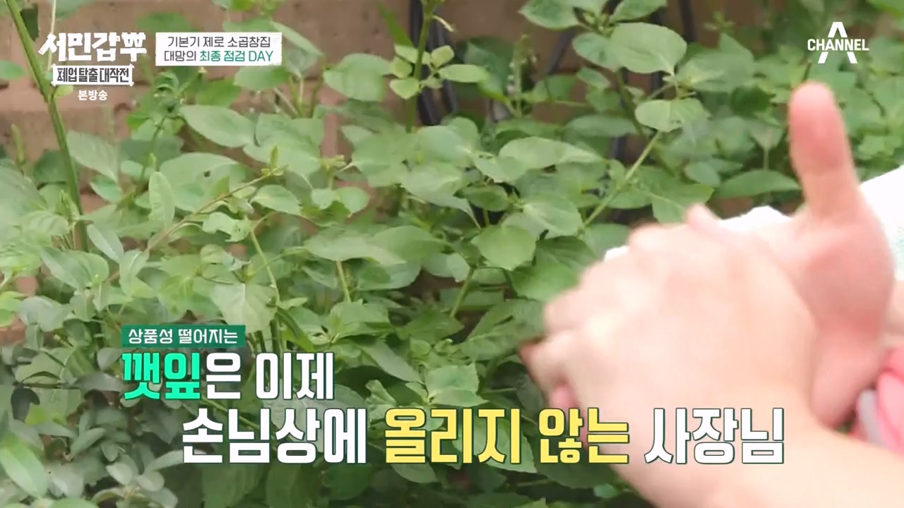 서민갑부 폐업 탈출 대작전.E16.231105p-NEXT.mp4_20231105_162320.938.jpg