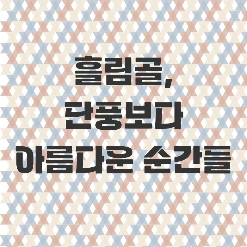 설악산흘림골단풍산행_1