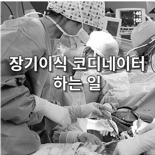  장기이식 코디네이터 하는 일 알아보기