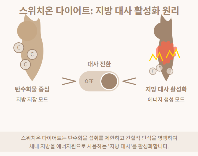 스위치온 다이어트에 관련된 이미지