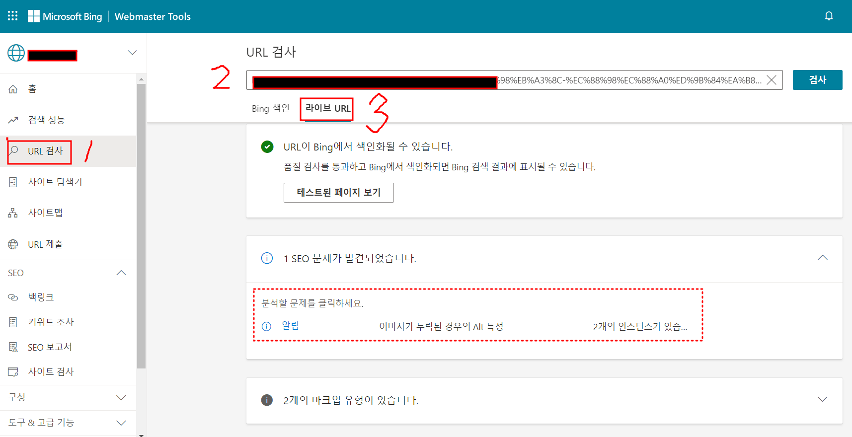 빙-웹마스트도구-url검사