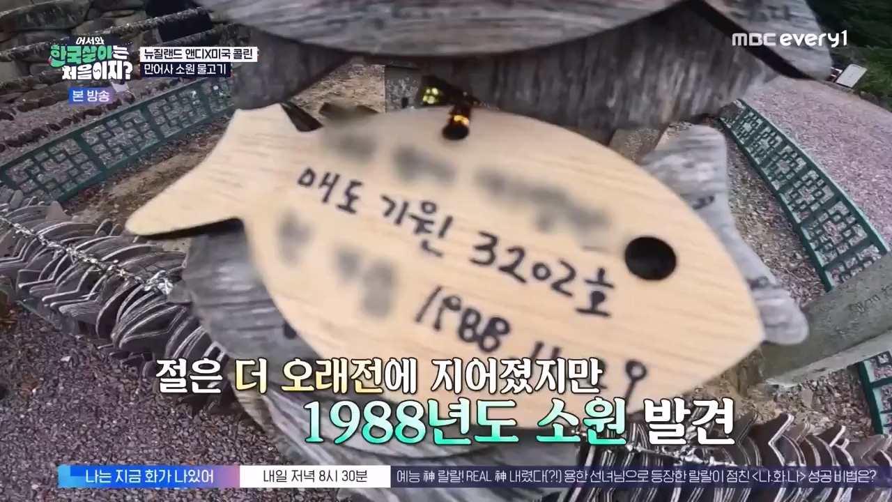 어서와 한국살이는 처음이지.E20.231003p-NEXT.mp4_20231004_202505.858.jpg