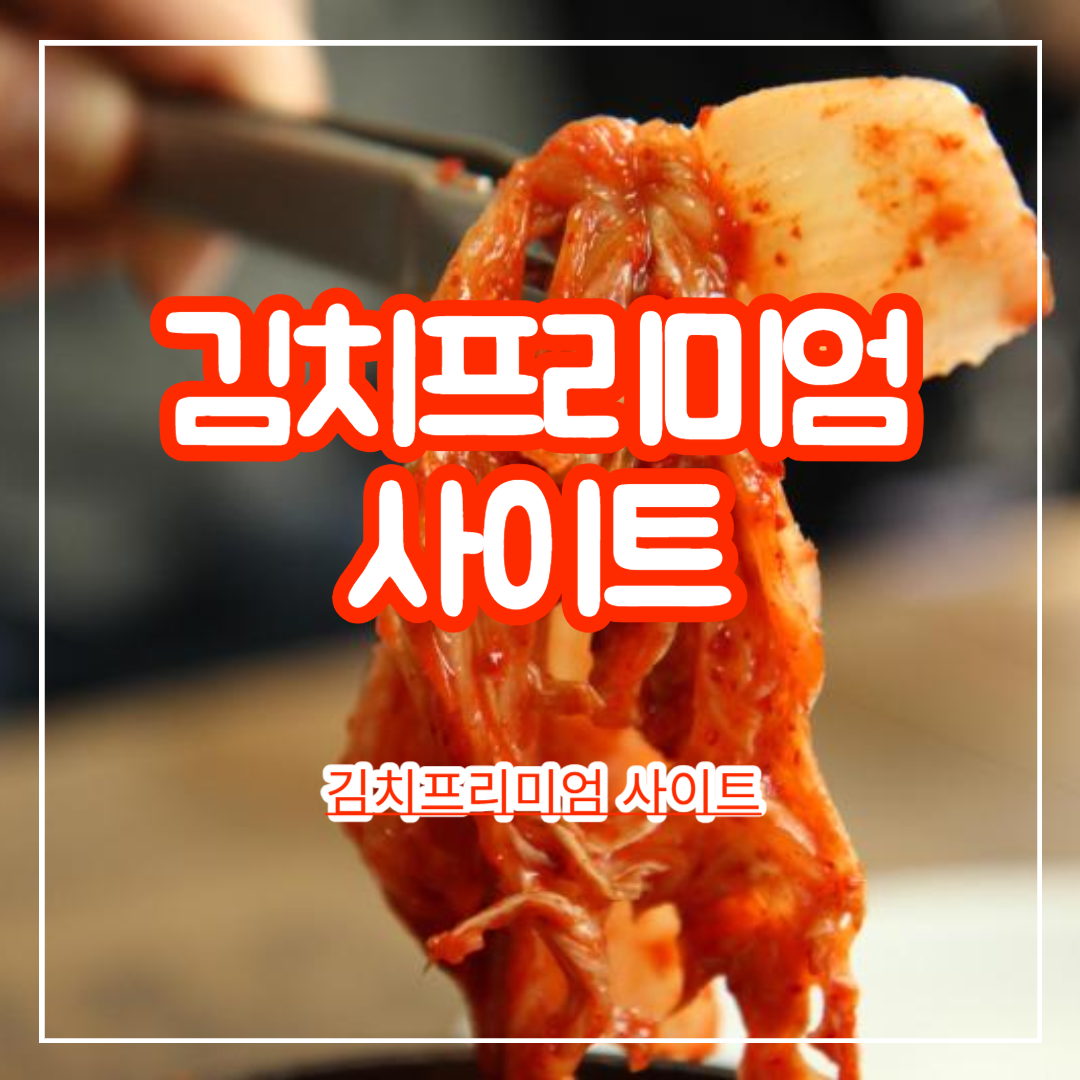 김치프리미엄_사이트