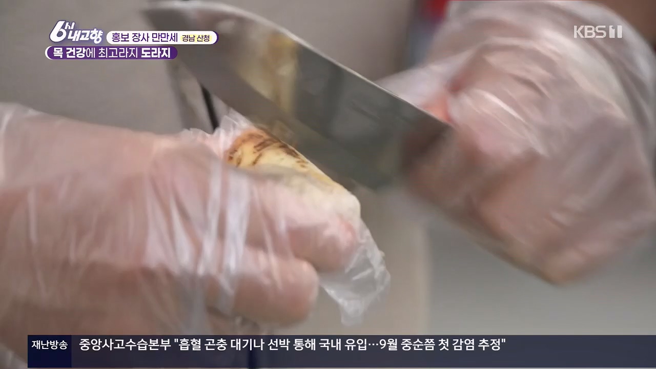 6시 내고향.E7922.231129p.H264-F1RST.mp4_20231129_203827.266.jpg
