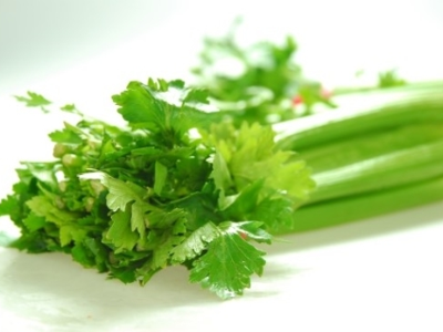 샐러리 효능 10가지 30