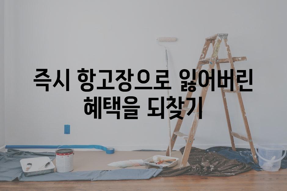 즉시 항고장으로 잃어버린 혜택을 되찾기