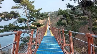 출렁이는 숲의 전설 미스터리_12