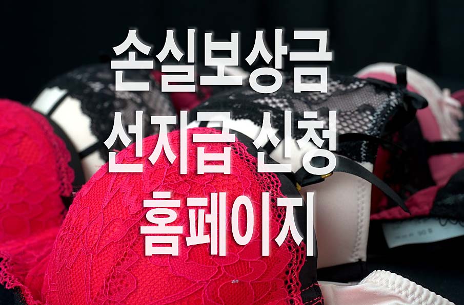 소상공인 손실보상 500만원 선지급 신청 홈페이지
