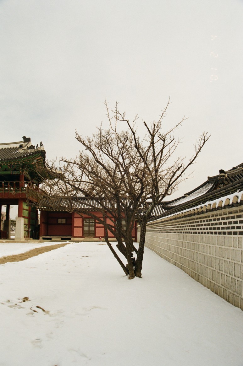 중고 펜탁스 SF7 자동차 필름 카메라 이야기. 결과는 9개월만에 나왔다. 30