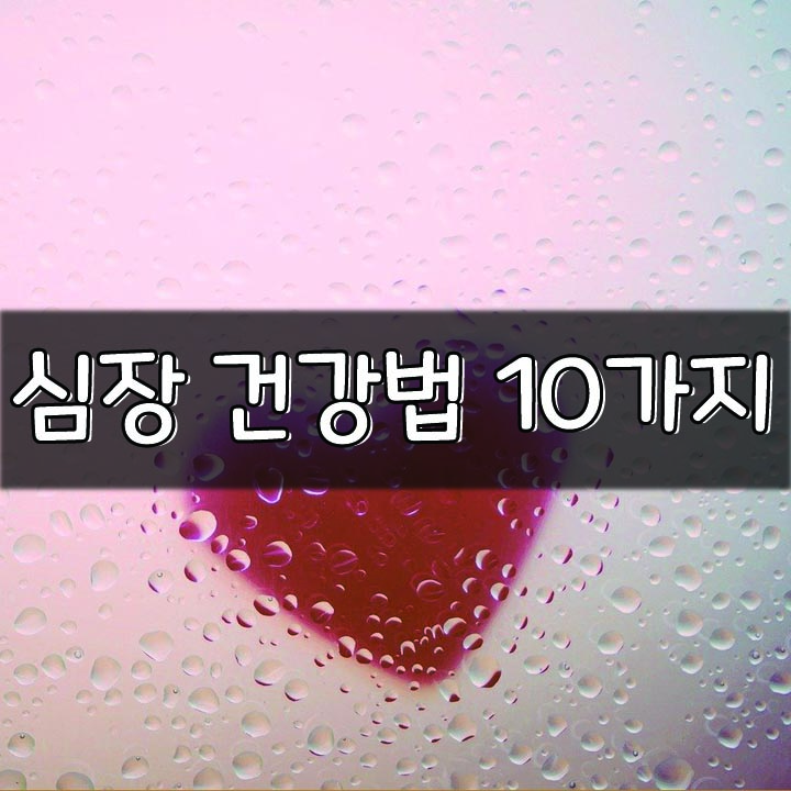  [심장 건강법 10가지]