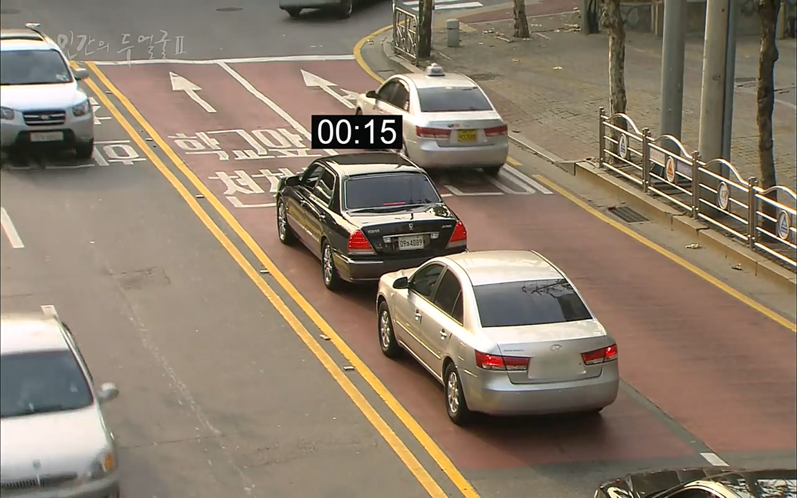 EBS 다큐프라임 - Docuprime, 인간의 두 얼굴2 제2부 아름다운 세상.mp4_20220608_205325.220.jpg