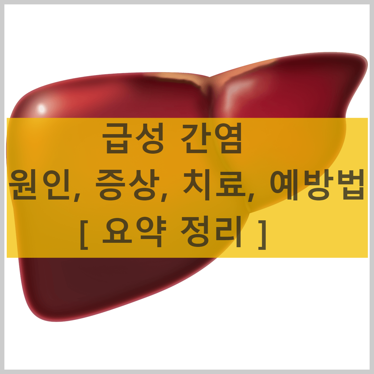 급성 간염 원인&#44; 증상&#44; 치료&#44; 예방법 [ 요약 정리 ]