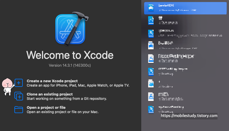 Xcode 프로그램 실행시 첫 화면