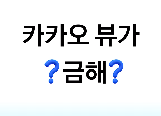  카카오뷰, 같이 친구 추가 해요!