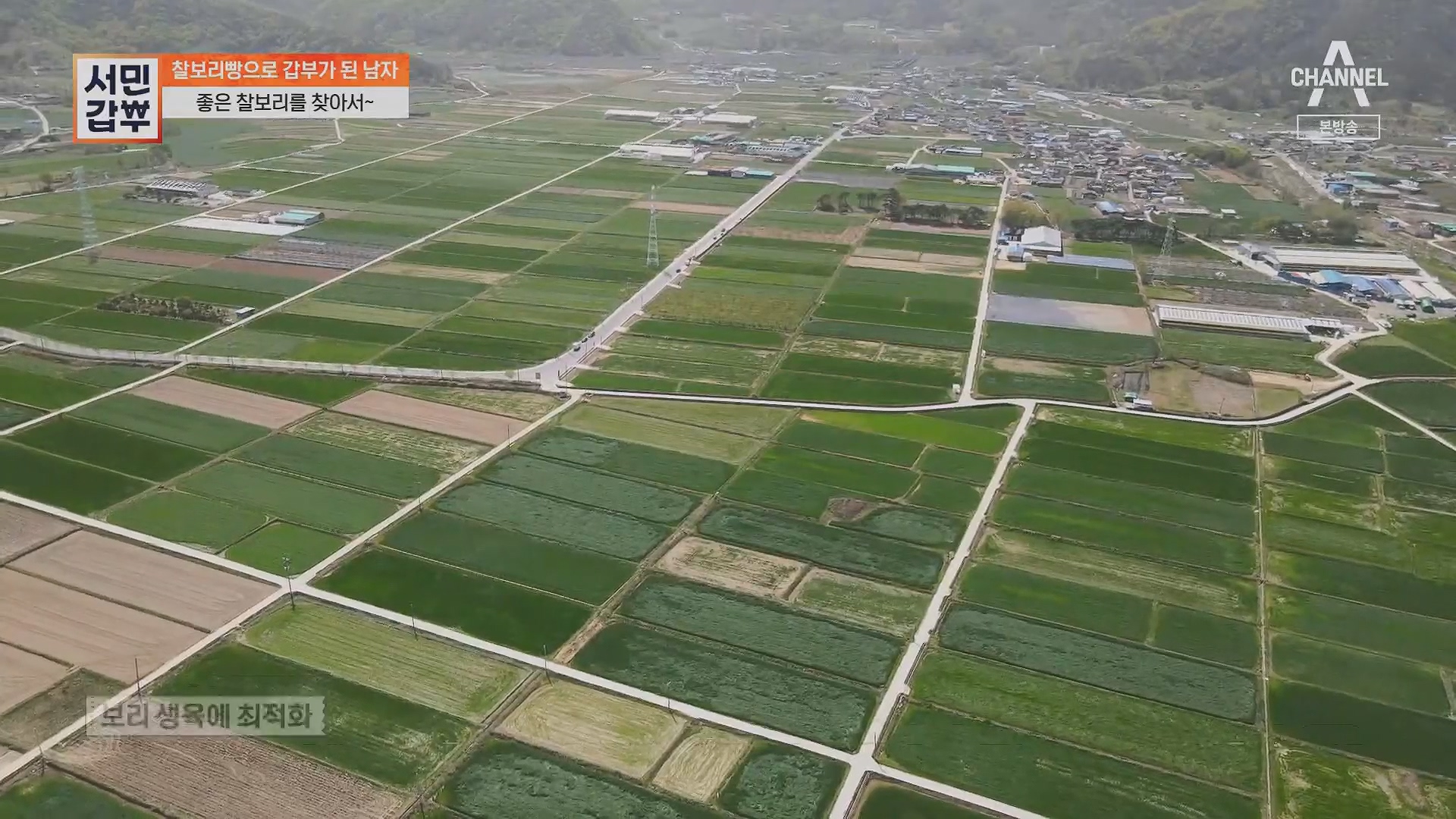 서민갑부.E435.230513p.H264-F1RST.mp4_20230516_195427.740.jpg