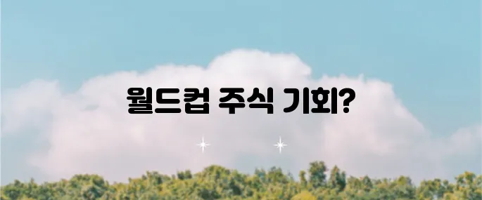 월드컵 관련 주식을 살펴봤습니다!