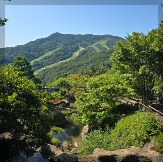 화담숲에서 즐기는 가족 나들이: 아이들과 함께하는 힐링 여행