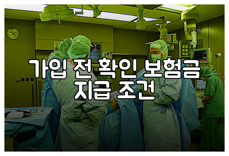 가입 전 확인 보험금 지급 조건