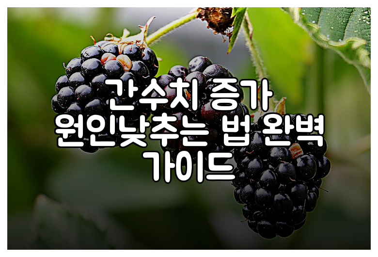 간수치 증가 원인낮추는 법 완벽 가이드