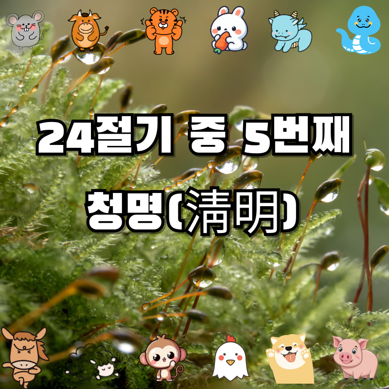 🌱 청명(淸明)이란? 24절기 다섯 번째 절기, 봄을 여는 맑은 날