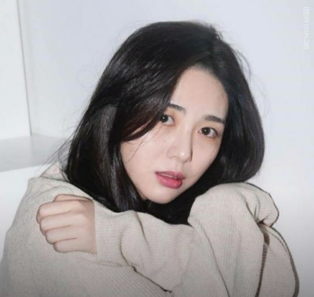 권미나, 성폭행범 권미나, 윤미향 3