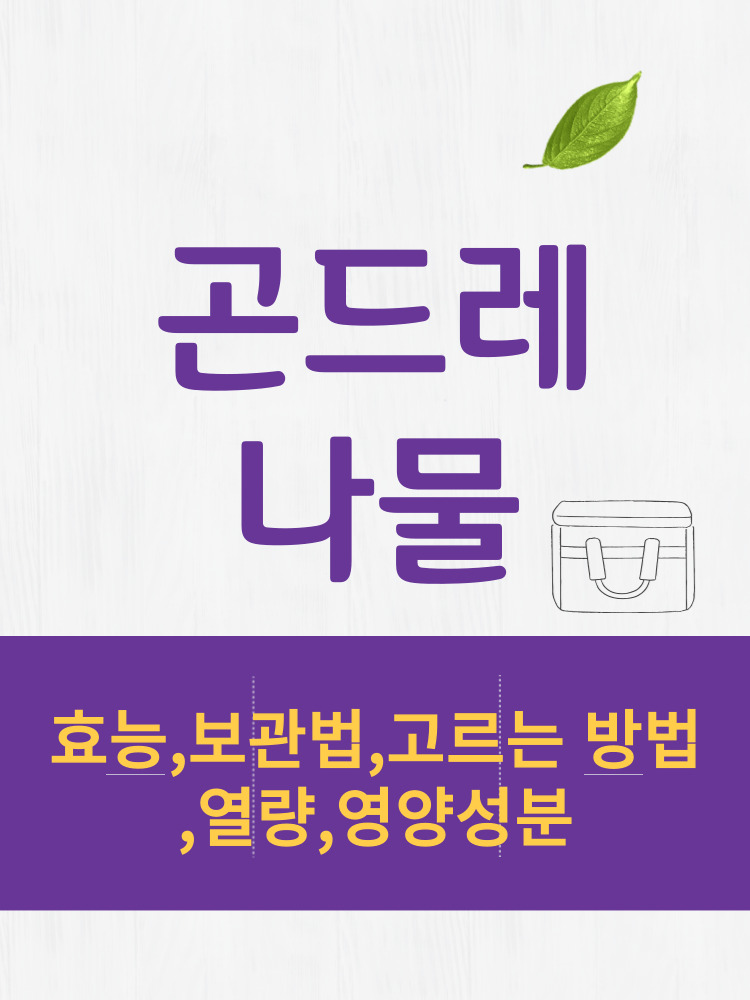  곤드레나물 효능 및 열량과 보관법 칼로리 총정리 