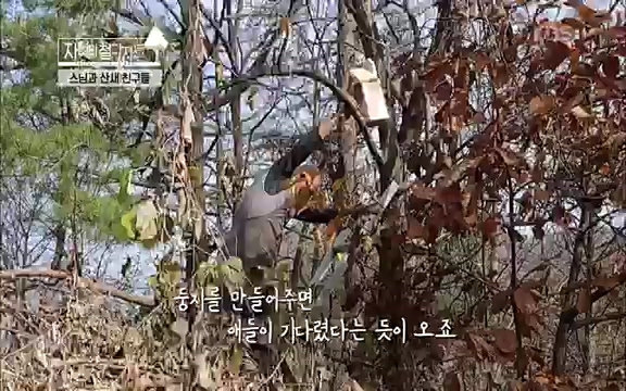 [3회] 자연의 철학자들 - KBS새처럼 살고 싶어라] 자연이라는 위대한 법당에서 숲의 울림, 새들의 소리를 들으며 깨달음을 얻은 도연 스님.ts_20220320_153549.963.jpg