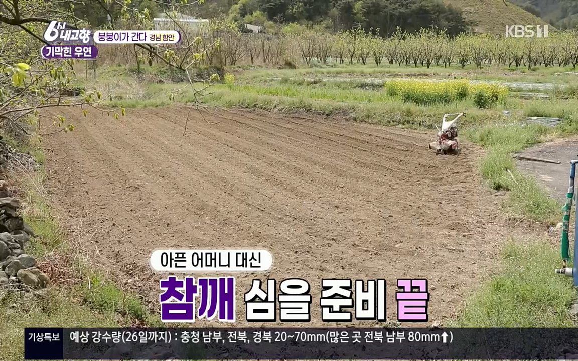 6시 내고향.E7518.220426p.H264-F1RST.mp4_20220504_192002.280.jpg