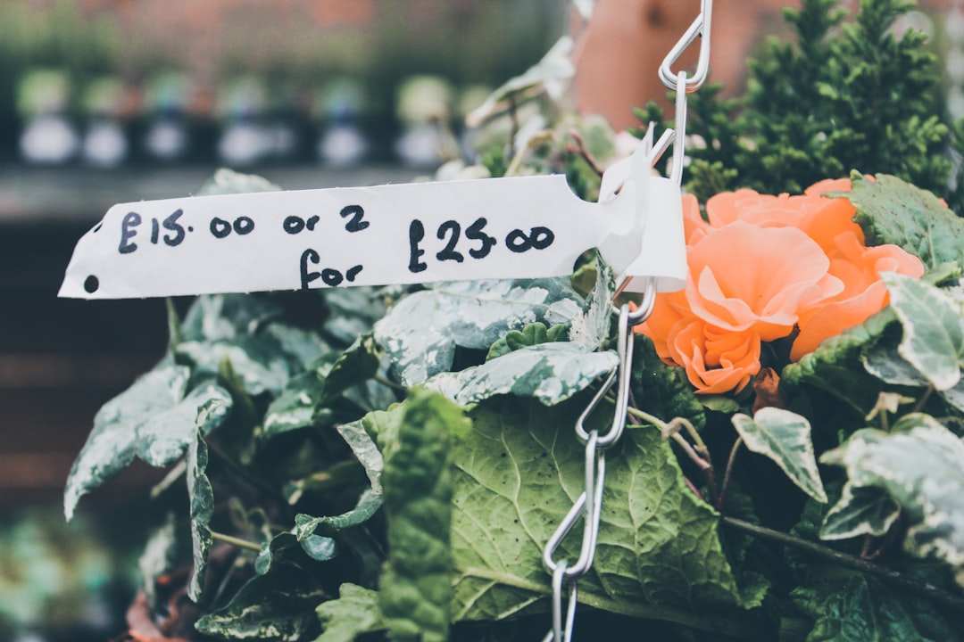 Prices