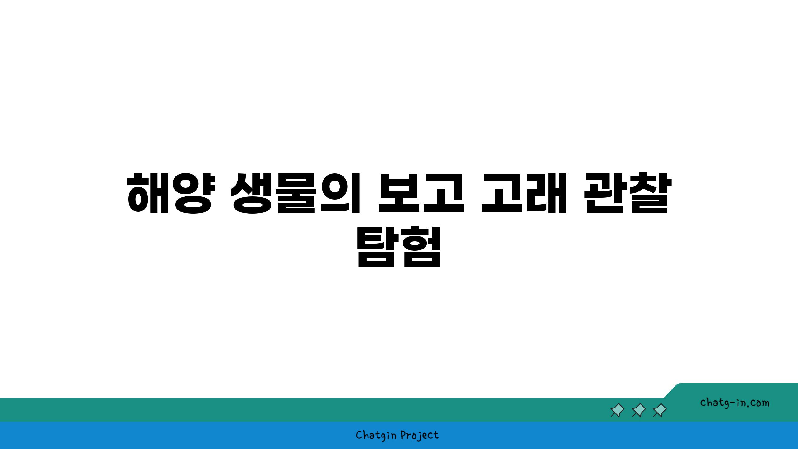 해양 생물의 보고| 고래 관찰 탐험