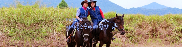 생방송-오늘저녁-경남-의령-승마교육-체험장-추천