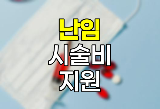 난임 시술비 지원, 희망의 새 장