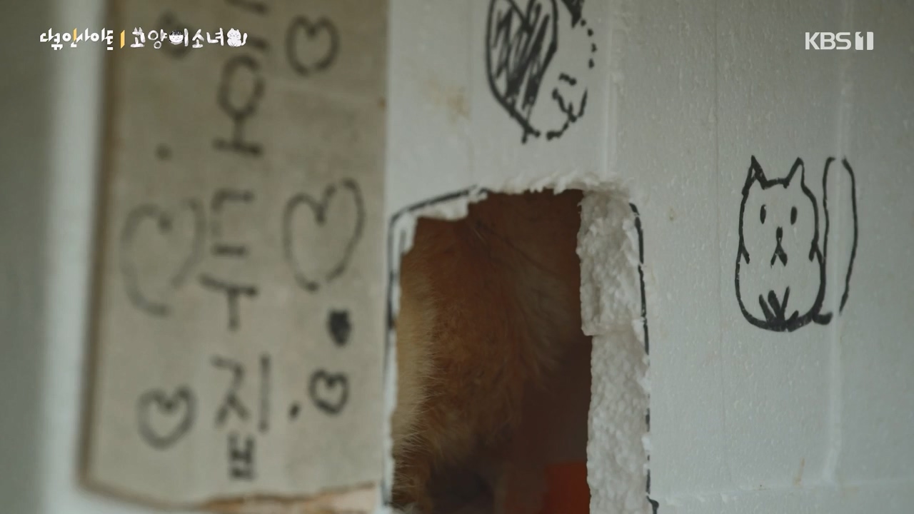 다큐 인사이트.E189.240524p-NEXT.mp4_20240524_205104.496.jpg