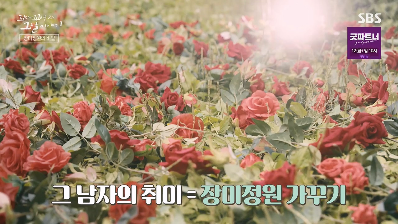 꼬리에 꼬리를 무는 그날 이야기.E135.240705p-NEXT.mp4_20240706_145627.468.jpg