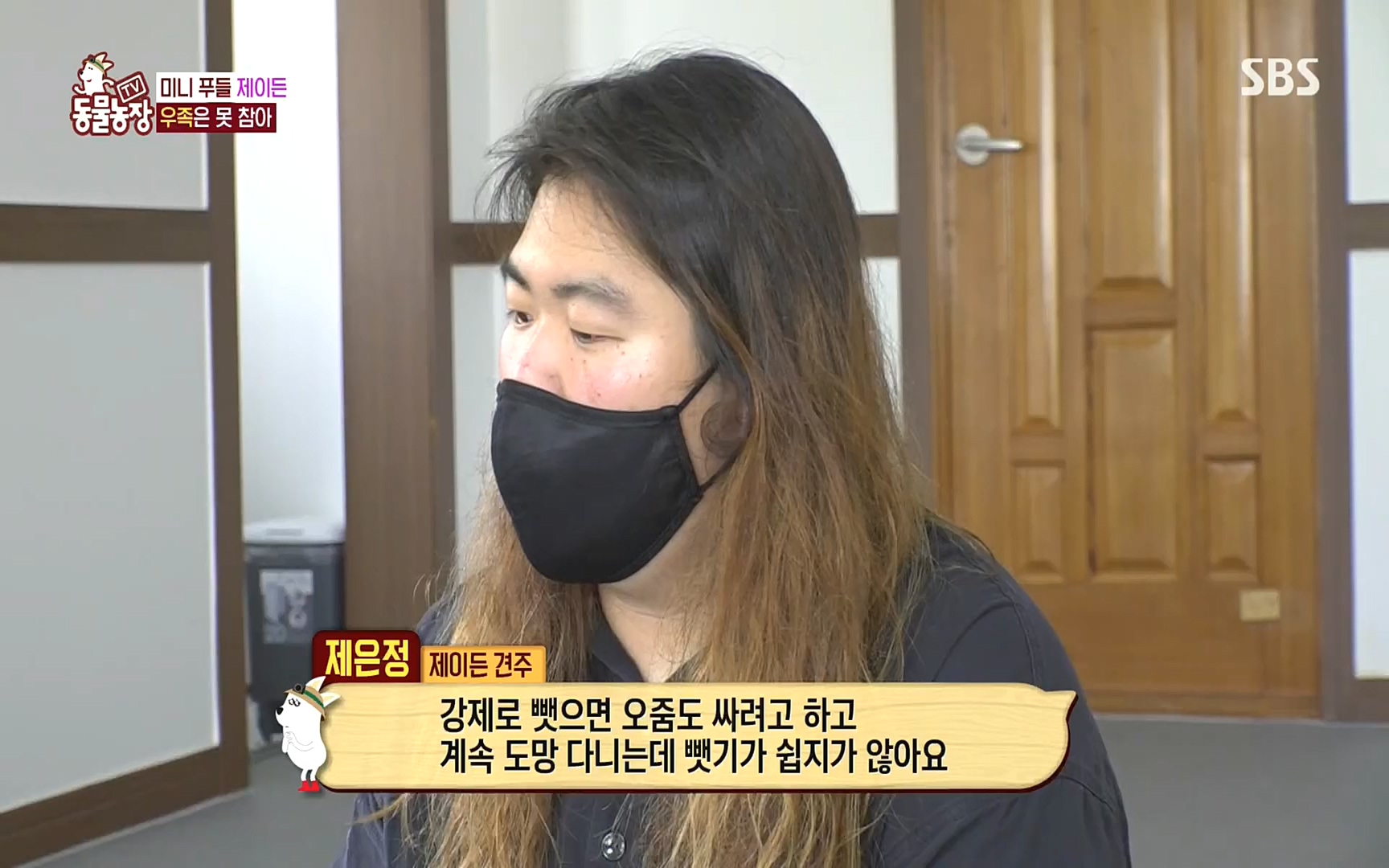 TV 동물농장.E1088.220925p.H264-F1RST.mp4_20220925_174350.386.jpg