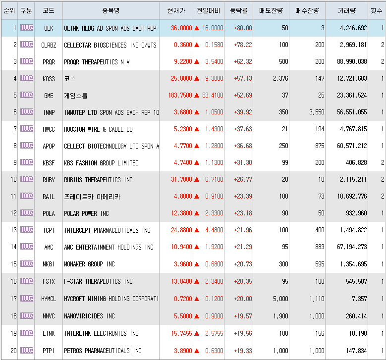  3월25일 미국주식 상승률 상위 종목 TOP 300