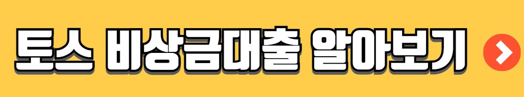 무직자 비상금대출 종류 비교