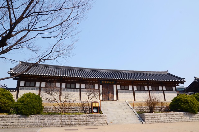 3·1 운동이 일어난 이유와 전국적 확산 과정 이해하기