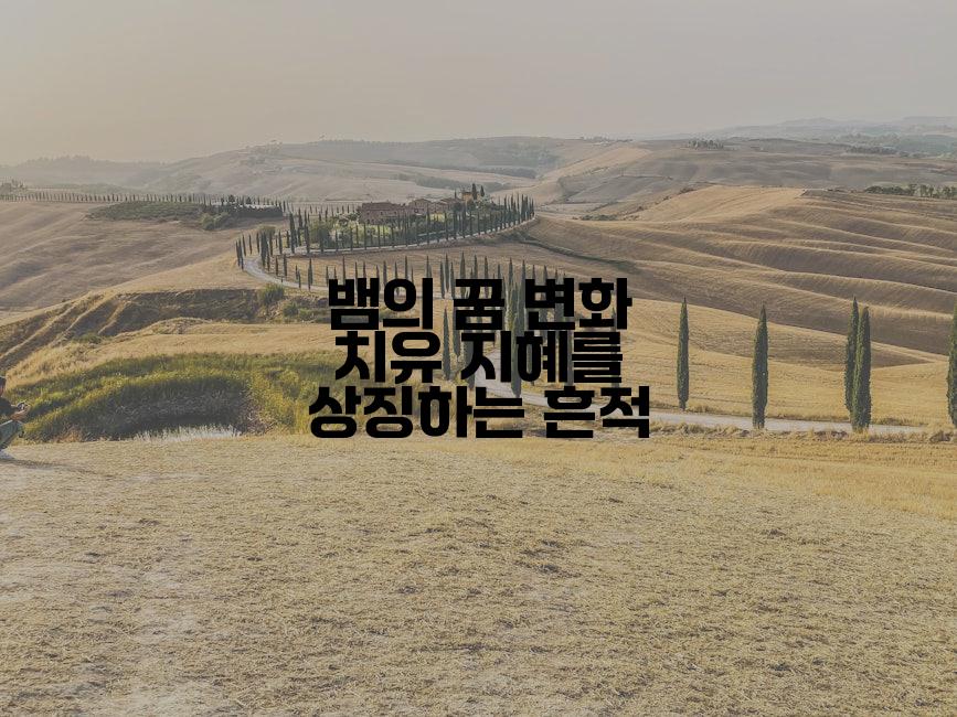 뱀의 꿈 변화 치유 지혜를 상징하는 흔적
