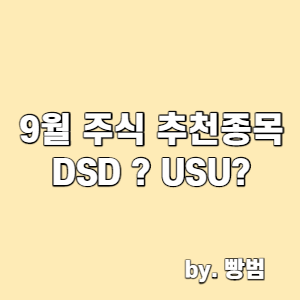  9월 주식 추천 종목 /  DSD(Down stock is down) / USU(Up stock is up)