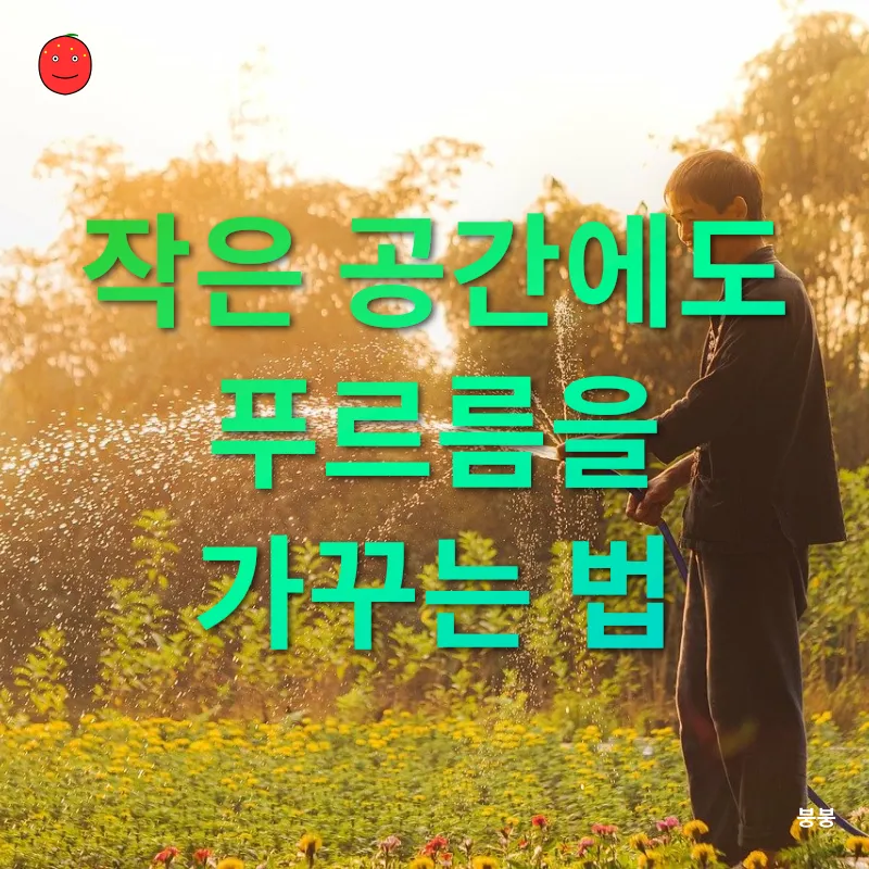 도시 텃밭_1