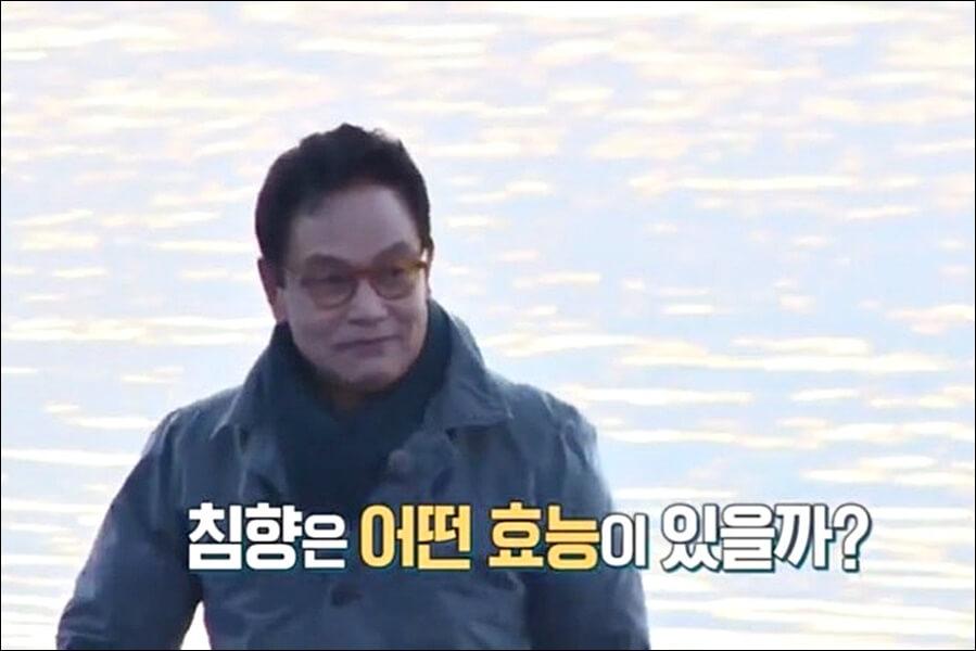 광동 침향환 가격 효능 총정리