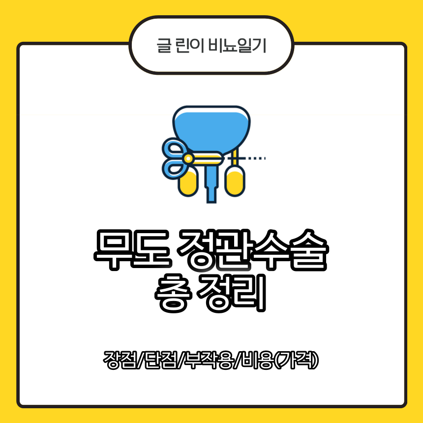  무도 정관수술 총 정리 : 장점/단점/부작용/비용(가격)