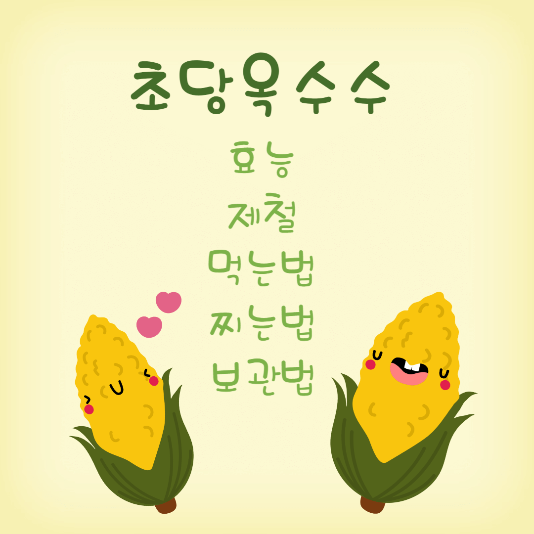 초당옥수수-효능-제철-찌는법