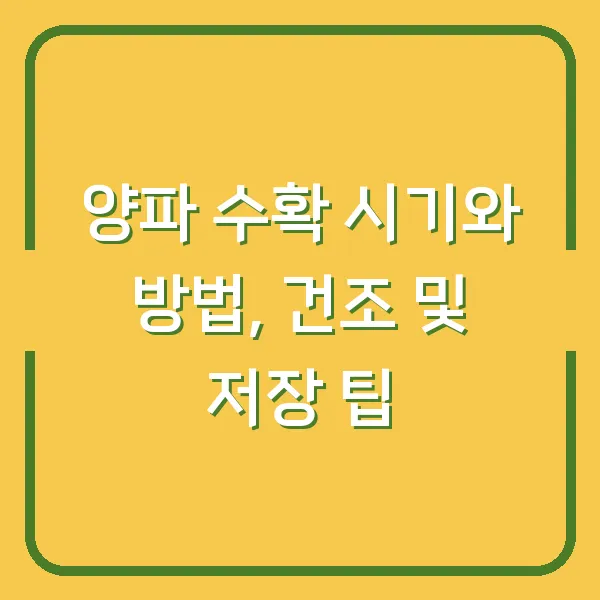 양파 수확 시기와 방법, 건조 및 저장 팁